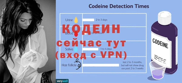 стафф Снежногорск