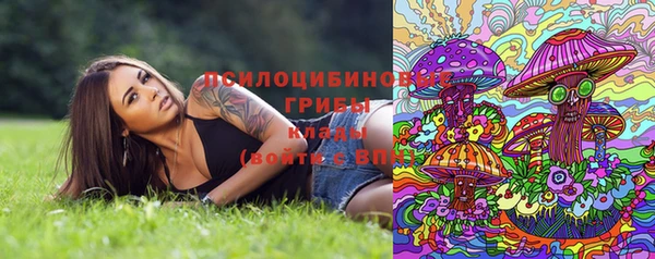 стафф Снежногорск
