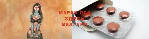 стафф Снежногорск