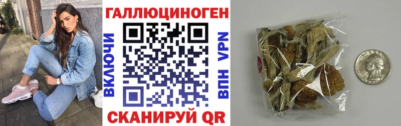 Псилоцибиновые грибы Psilocybine cubensis  Купить где  Зубцов 